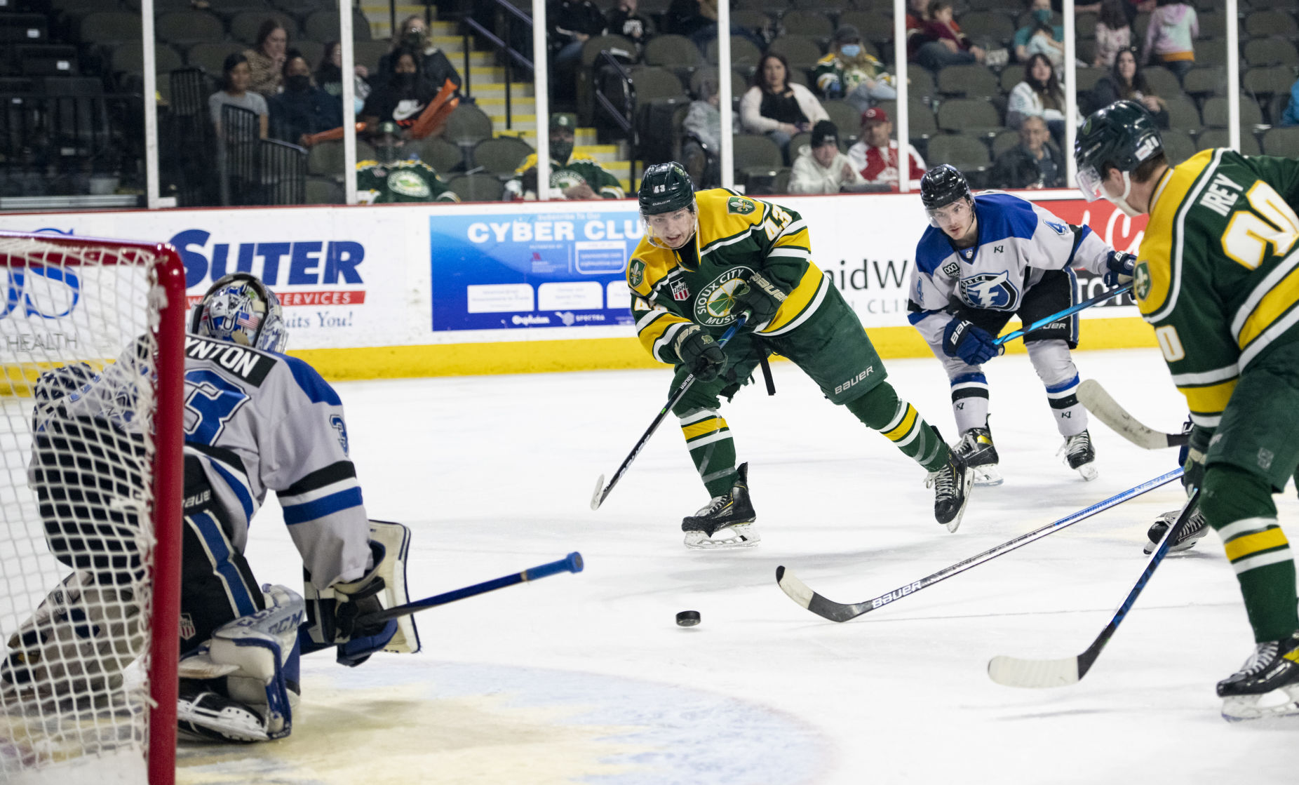 Musketeers vs Fargo Force hockey